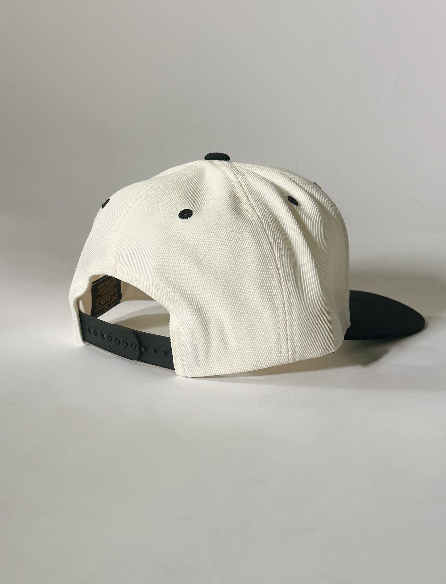 Dog Dad Hat