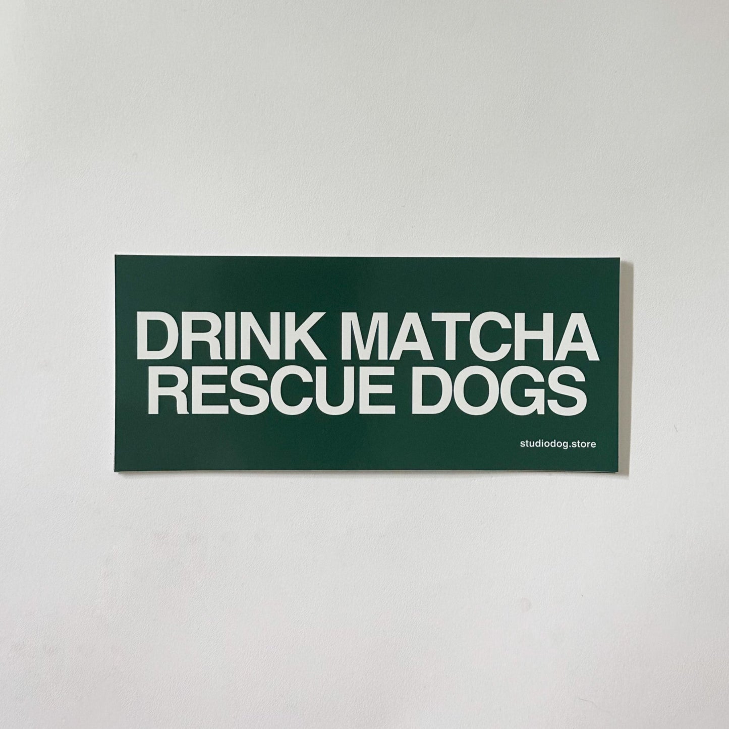Drink Matcha Rescue Dogs Bumper Sticker