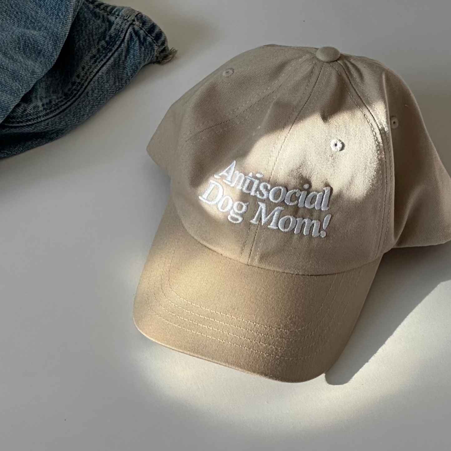 Antisocial Dog Mom! Hat