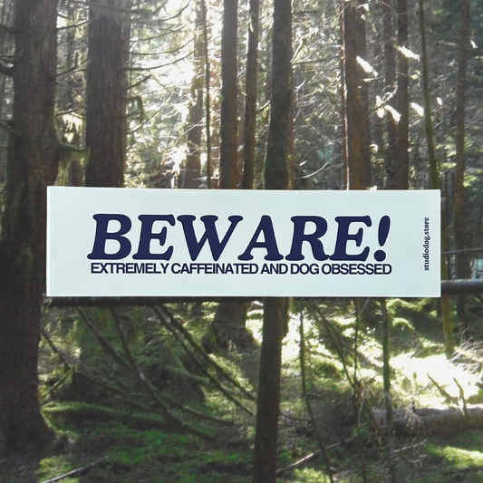 Beware! Bumper Sticker
