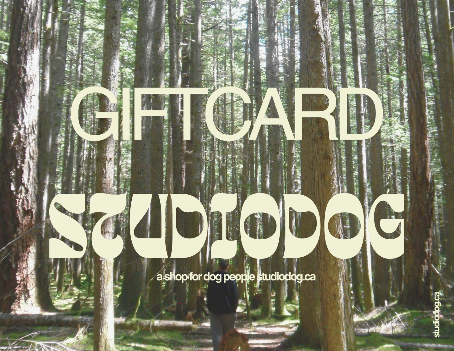 Studio Dog Gift Card